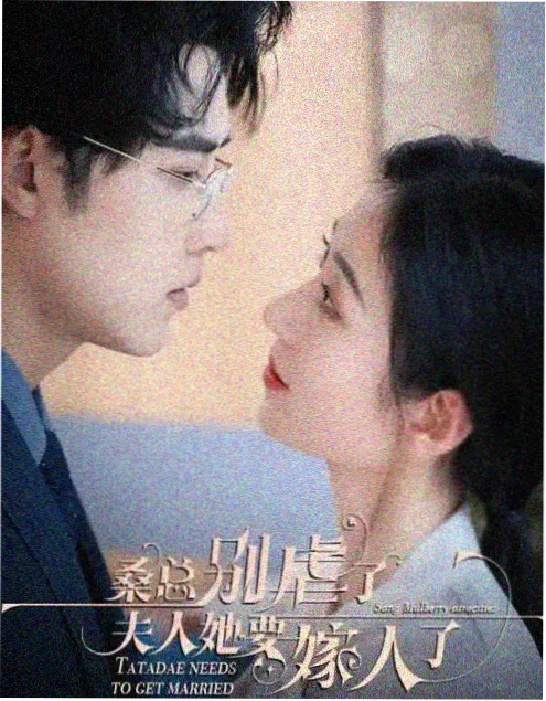 破晓行动电视剧海报